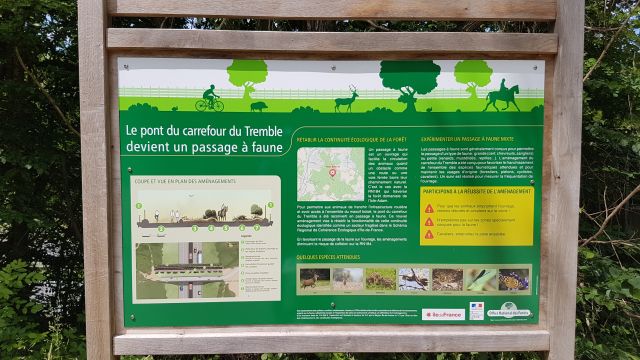 2018-06-03 - frepillon (30)
