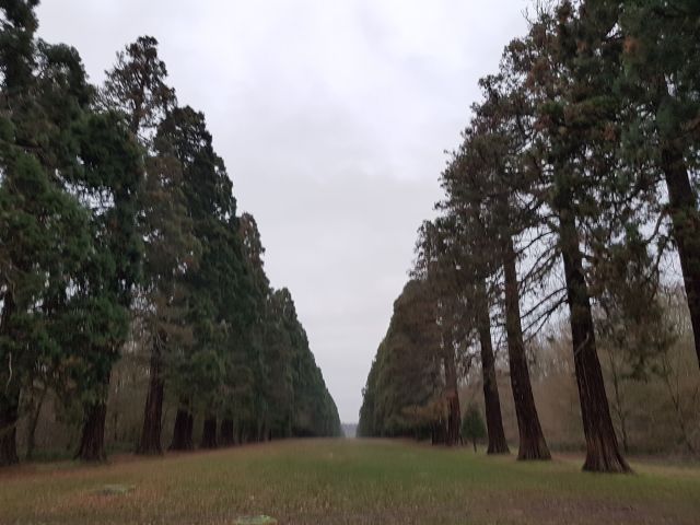 2018-12-31 - fontenay-le-vicomte (18)