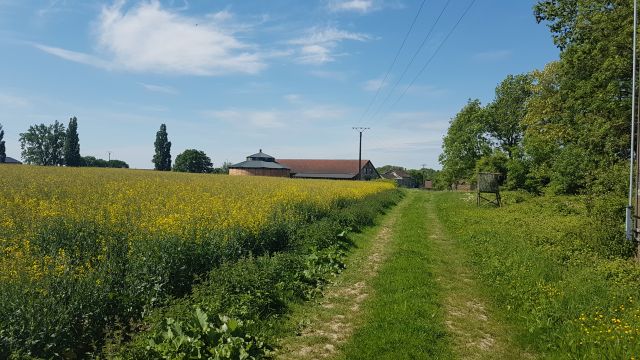 2018-05-12 - coucy-chateau-auffrique (30)