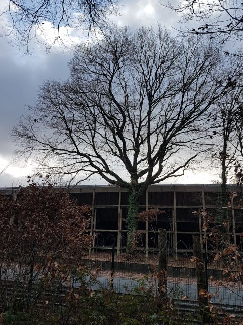 2018-12-08-marcoussis (12)