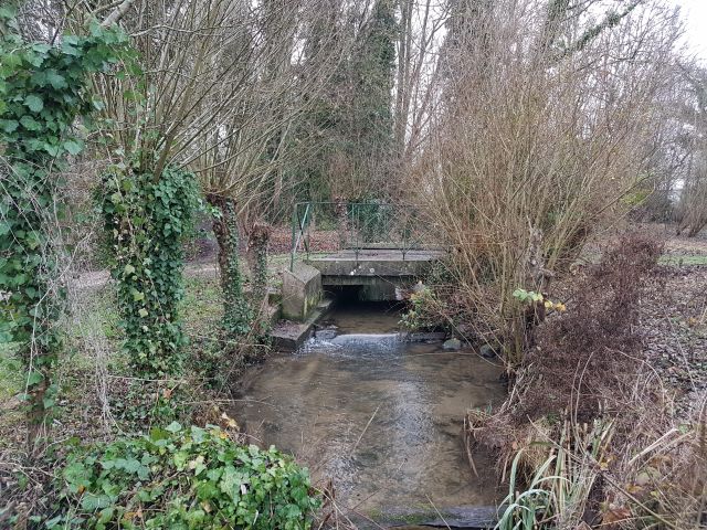 2018-12-31 - fontenay-le-vicomte (04)