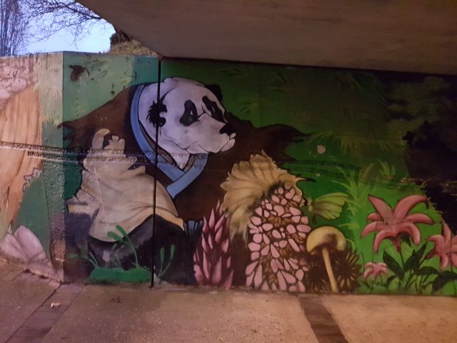 2018-12-31 - fontenay-le-vicomte (23)