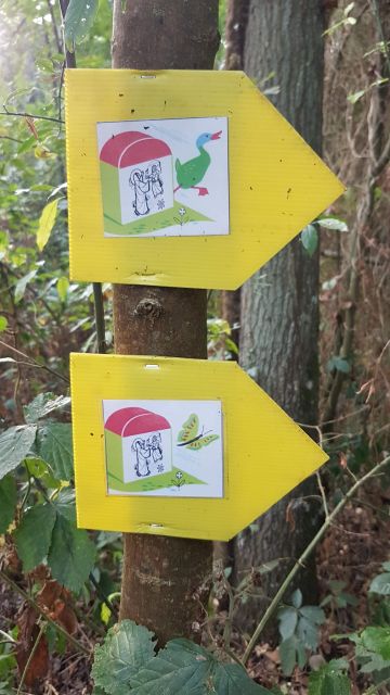 2018-08-26 - dourdan (03)