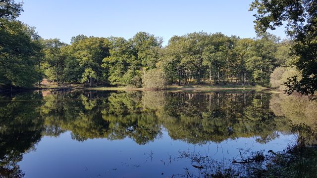 2018-09-02 - rambouillet (07)