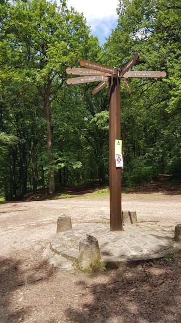 2018-06-03 - frepillon (29)