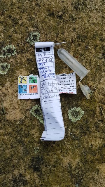 2018-06-10 - cheptainville (18)