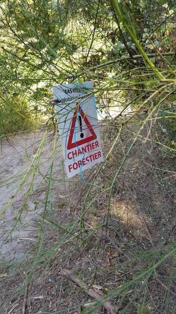 2018-09-01 - neuville-aux-bois (15)
