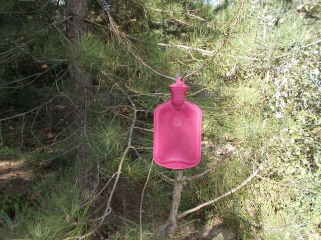 2018-04-21-saint-jean-de-monts (06)