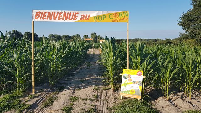 2018-07-10 - la garnache (01)