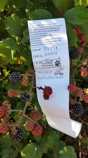 2018-08-04 - sallertaine (15)