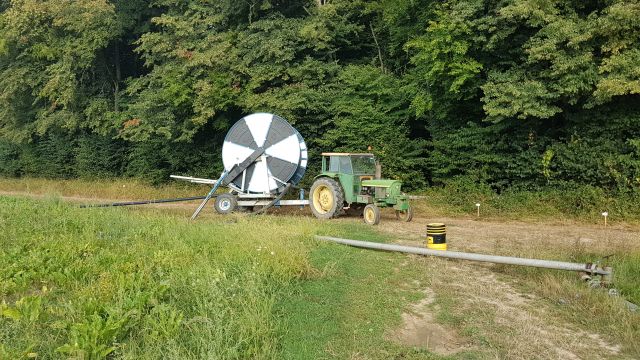 2018-08-15 - vallery (12)