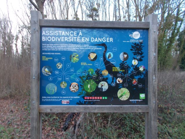 2018-12-08-marcoussis (07)
