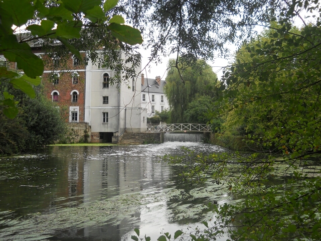 2014-08-10-bondoufle (20)