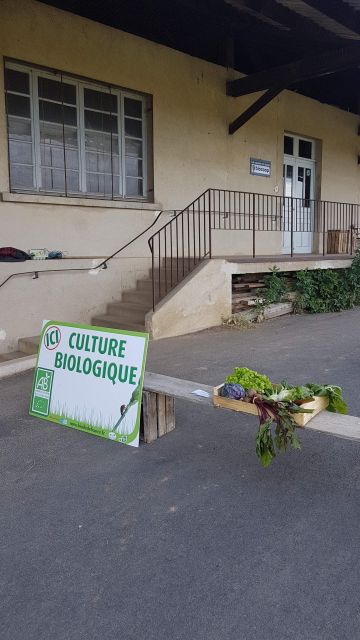 2018-06-24 - chevry-cossigny (10)