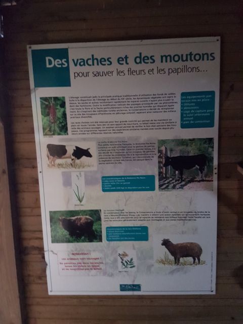 2018-12-31 - fontenay-le-vicomte (12)