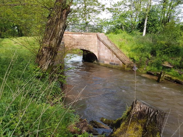 2019-05-11 - schoenenbourg (06)