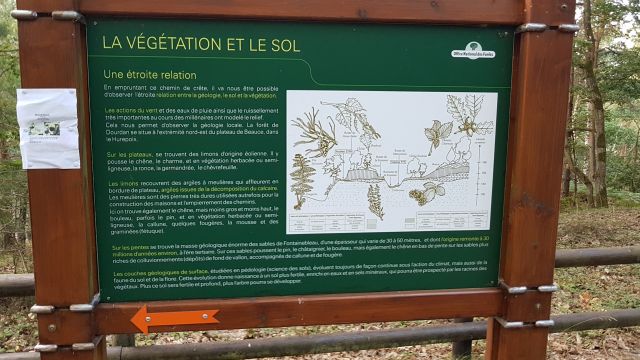2019-09-08-saint-arnoult (05)