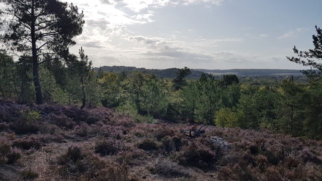 2019-09-08-saint-arnoult (17)