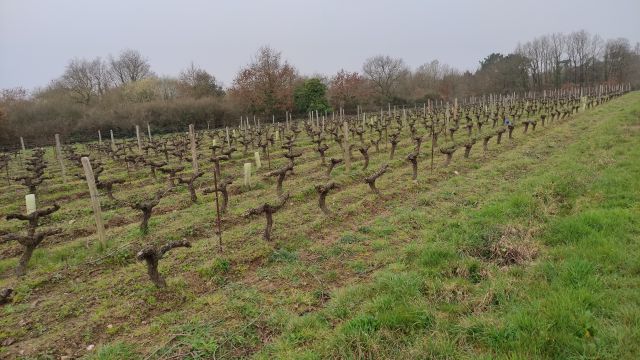 2022-03-06 - brem-sur-mer (03)