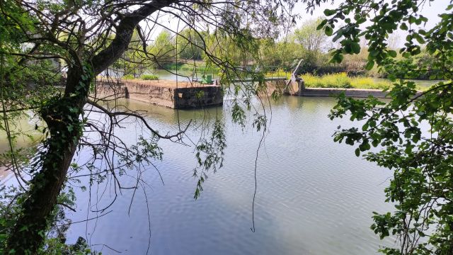2022-04-29 - durtal (19)