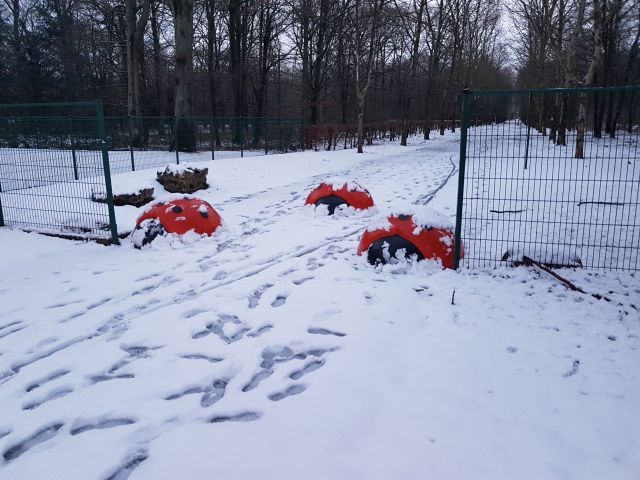 2019-01-30-ris-orangis (05)