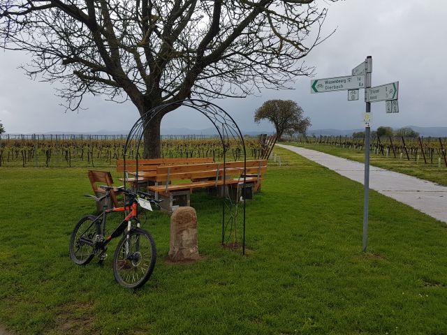 2019-05-09 - landau-in-der-pfalz (49)