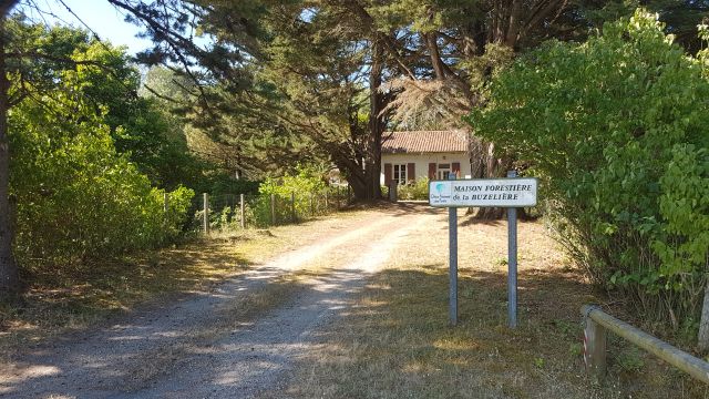 2019-07-13 saint-jean-de-monts (01)