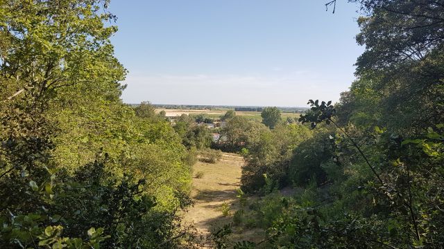 2019-07-13 saint-jean-de-monts (06)