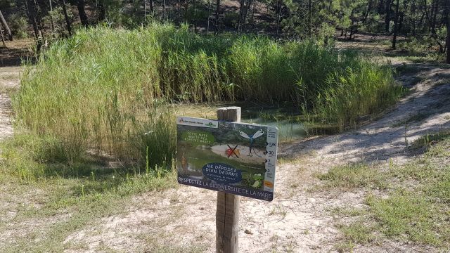 2019-07-13 saint-jean-de-monts (07)