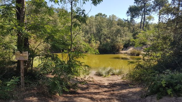 2019-07-13 saint-jean-de-monts (18)