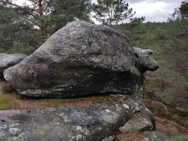 2019-03-17-fontainebleau (14)