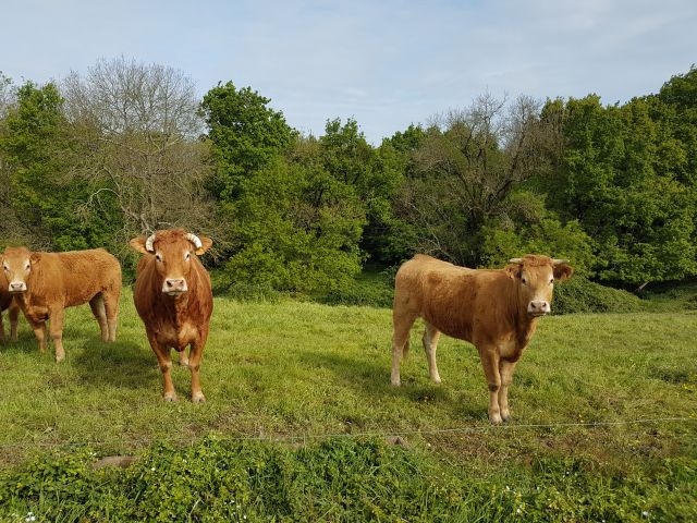 2019-04-28 - rocheserviere (12)