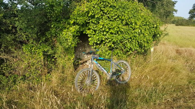 2019-07-23 - bouin (03)