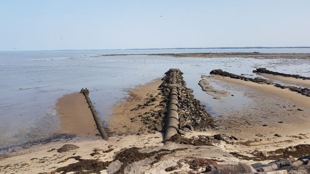 2019-07-23 - bouin (11)