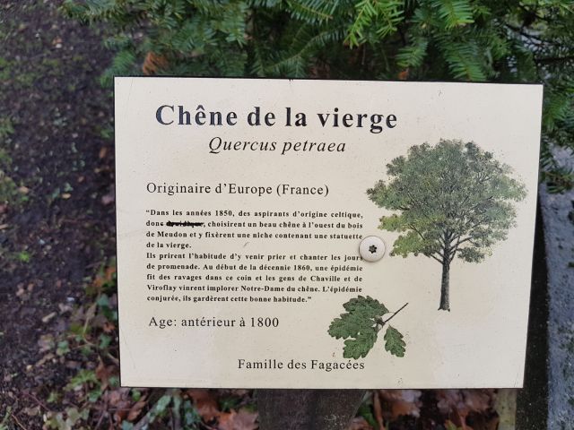 2019-02-10 - velizy-villacoublay (08)