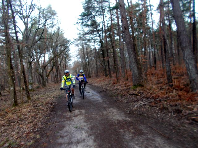 2019-03-17-fontainebleau (11)