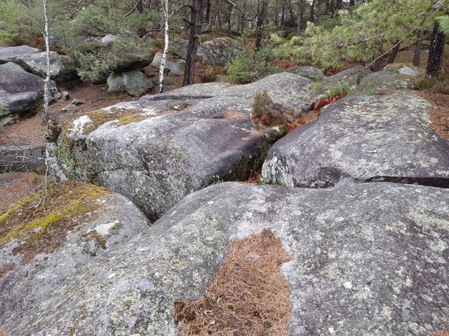 2019-03-17-fontainebleau (16)