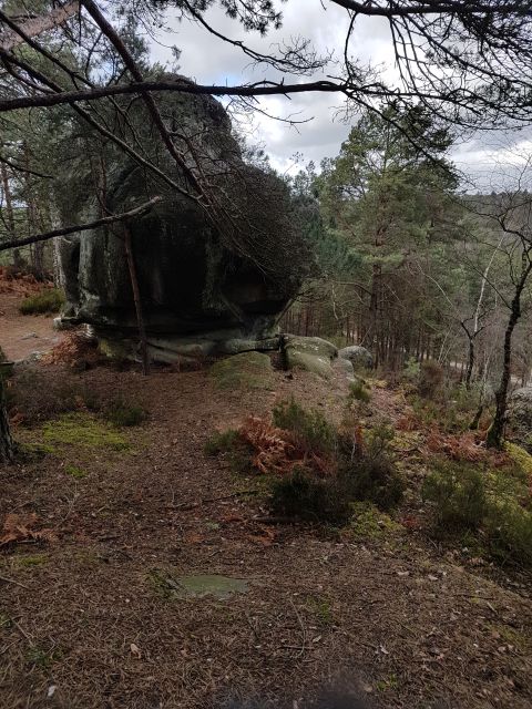 2019-03-17-fontainebleau (17)