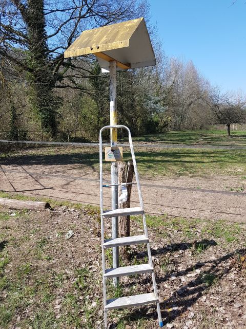 2019-03-31 - villiers-sur-orge (30)