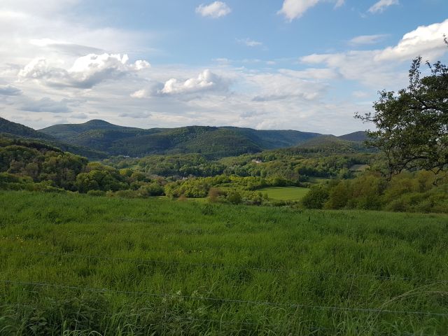 2019-05-10 - obersteinbach (75)