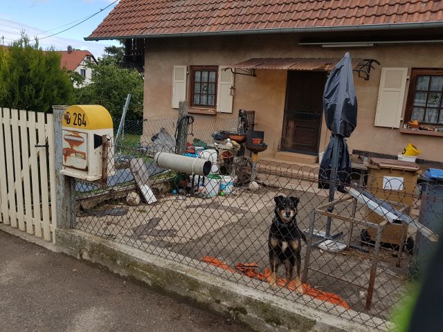2019-05-11 - schoenenbourg (20)