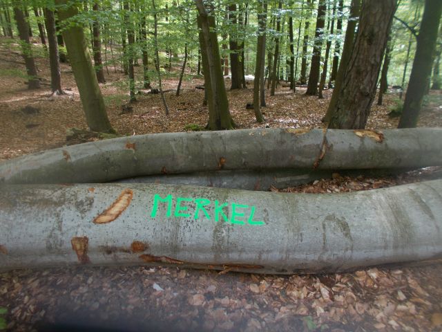 2019-05-10 - obersteinbach (59)