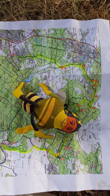 2019-09-01 - rambouillet (40)