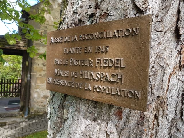 2019-05-11 - schoenenbourg (17)