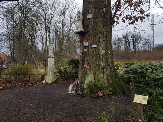 2019-02-10 - velizy-villacoublay (07)