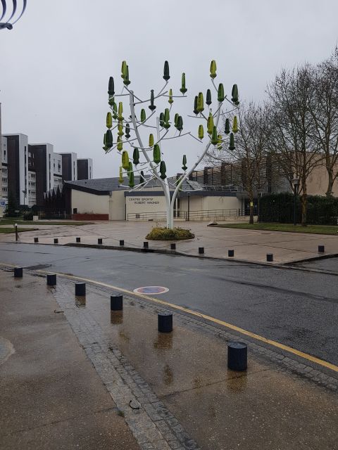 2019-02-10 - velizy-villacoublay (13)