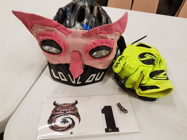 2019-03-23 - le coudray-montceaux (05)