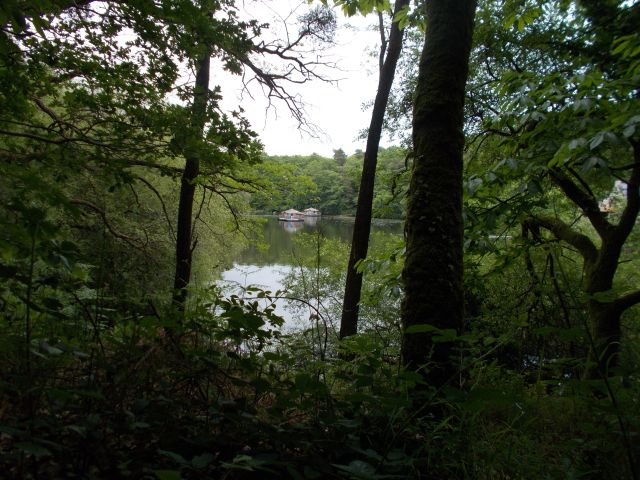 2019-05-30 - questembert (51)