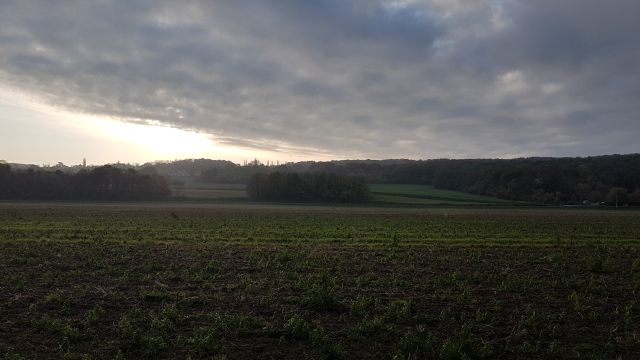 2019-11-17 - montceaux-les-meaux (06)