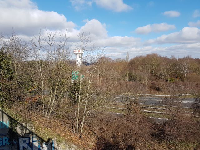 2019-02-03 - linas (15)